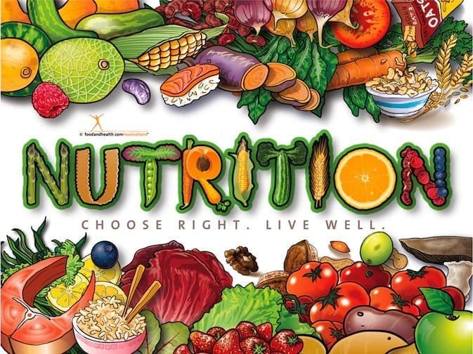 How a Plant-Based Diet Supports Women Through Menopause